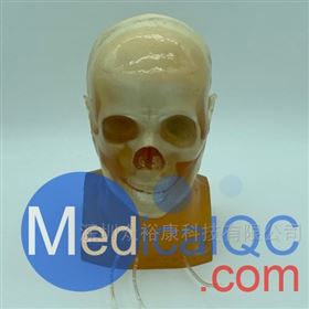 WEK-DSA03头部模体