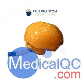 Truephantom BN-A01標準成人腦模體
