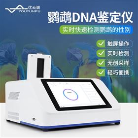 YP-P16鹦鹉DNA鉴定仪