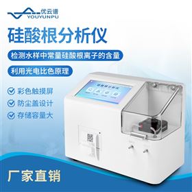 YP-GSG硅酸根分析仪