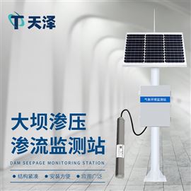 TZ-SY1渗压渗流监测站