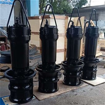 350ZQB-70D潜水式轴流泵