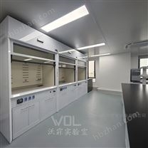 WOL專業(yè)定制安裝 實(shí)驗(yàn)室智能全鋼通風(fēng)柜