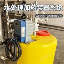 全自動加藥裝置 水處理一體化加藥設(shè)備
