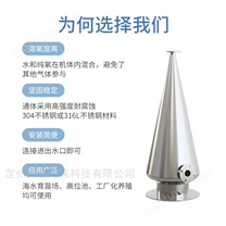 304不銹鋼溶氧錐