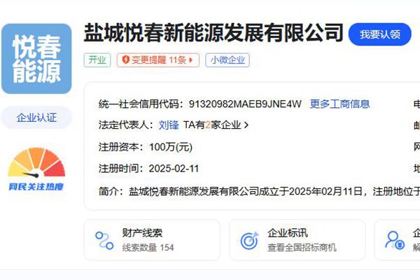 100萬！又一國企成立新能源公司