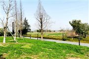 《山東省綠色低碳高質(zhì)量發(fā)展重點(diǎn)項(xiàng)目管理辦法》印發(fā) 8月1日起施行