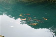 環(huán)保新質(zhì)生產(chǎn)力|污水超高負(fù)荷脫氮裝備