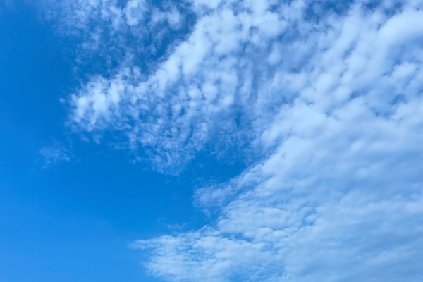 100t/d！黑龍江撫遠(yuǎn)市生活垃圾焚燒處理項(xiàng)目設(shè)計(jì)招標(biāo)