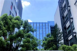 《云南省高质量推进零碳园区建设方案》政策解读