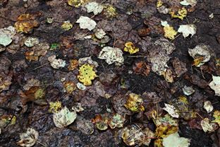 广西扎实推进新污染物监测工作，持续筑牢祖国南方生态安全屏障