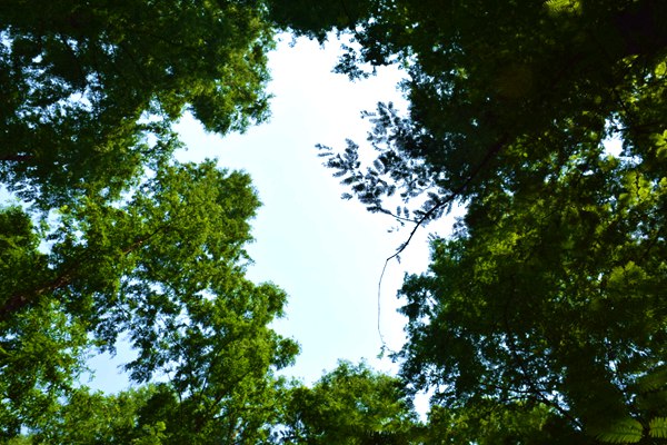 生態(tài)環(huán)境部一周要聞（12.7—12.13）