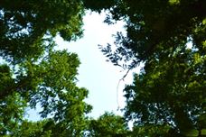 生態環境部一周要聞（12.7—12.13）