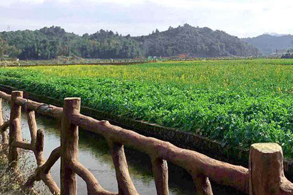 關于第一批美麗鄉(xiāng)村先行區(qū)建議名單的公示