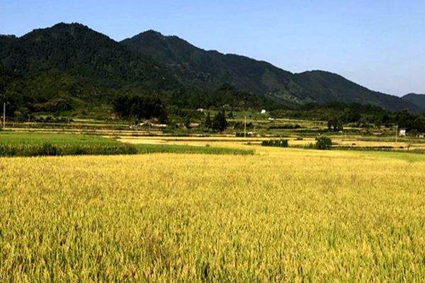 中軍攀太（江蘇）新材料科技有限公司增資 | 釋放30%股權 布局環(huán)保新材料賽道