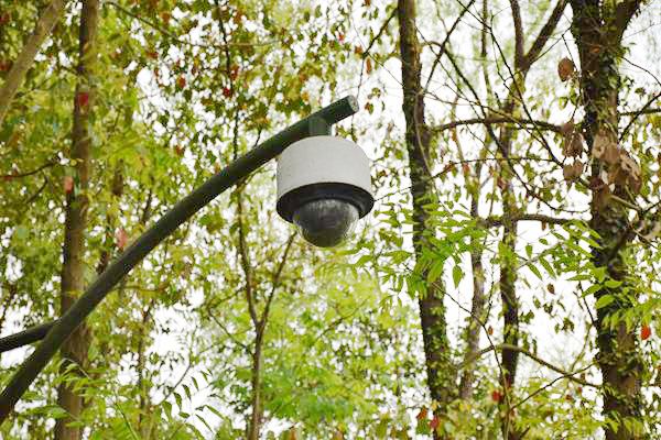 浙江省生態(tài)環(huán)境廳將開展浙江省生態(tài)環(huán)境監(jiān)測技術(shù)服務(wù)機構(gòu)備案工作！