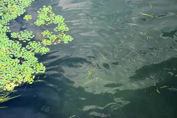 出租污水廠？國企5.4億掛牌出租污水處理廠20年