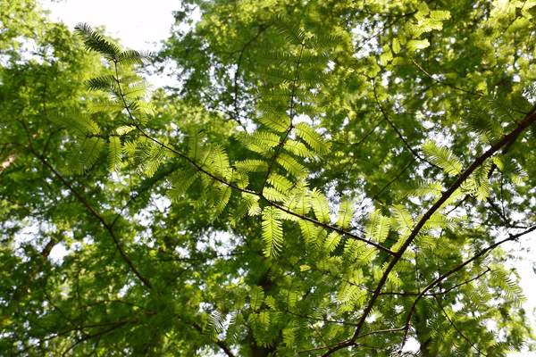 以零碳工廠建設(shè)引領(lǐng)工業(yè)變革，系統(tǒng)重塑綠色制造新模式