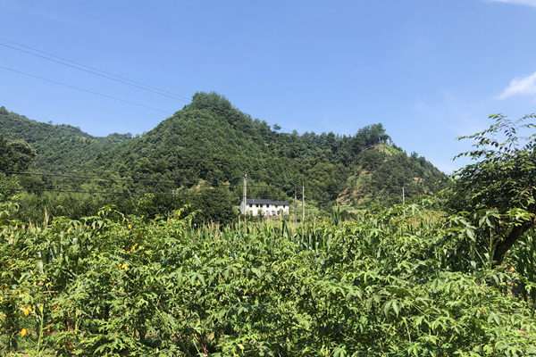 《生態(tài)環(huán)境分區(qū)管控信息平臺(tái)建設(shè)指南》《生態(tài)環(huán)境分區(qū)管控信息平臺(tái)接口規(guī)范》答記者問