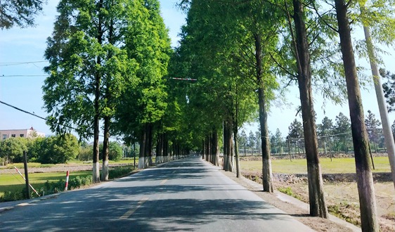 马鞍山市自然资源和规划局、生态环境局、林业局联合印发《常态化融合对接工作方案》