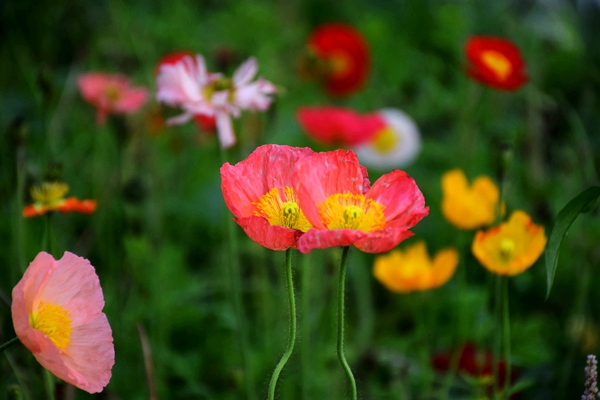清華大學(xué)水質(zhì)與水生態(tài)研究中心招聘博士后2-3名！