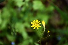 清華大學(xué)碳中和研究院招聘博士后！