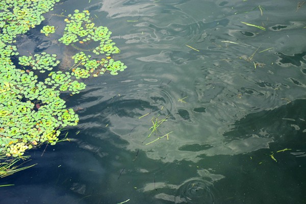 鴻泰華瑞攜“人車機“新生態(tài)，重磅出擊第27屆上海環(huán)博會