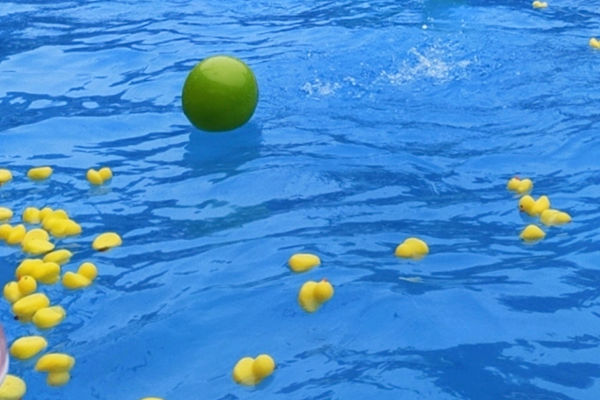 傅濤：新條例下的本質回歸與責任歸位，三條通道激活供水發(fā)展新機