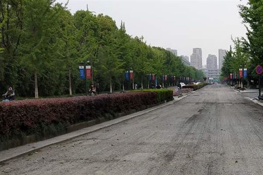 全文｜上海市鼓励国四柴油车提前报废补贴实施办法，5月9日起施行