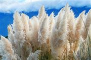 构建煤电与新能源融合发展模式 持续提升系统调节能力与绿色低碳水平