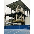 高鹽廢水蒸發(fā)器