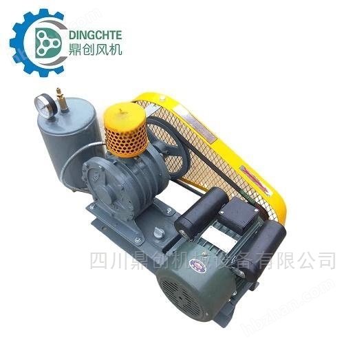單相回轉(zhuǎn)式鼓風(fēng)機(jī)