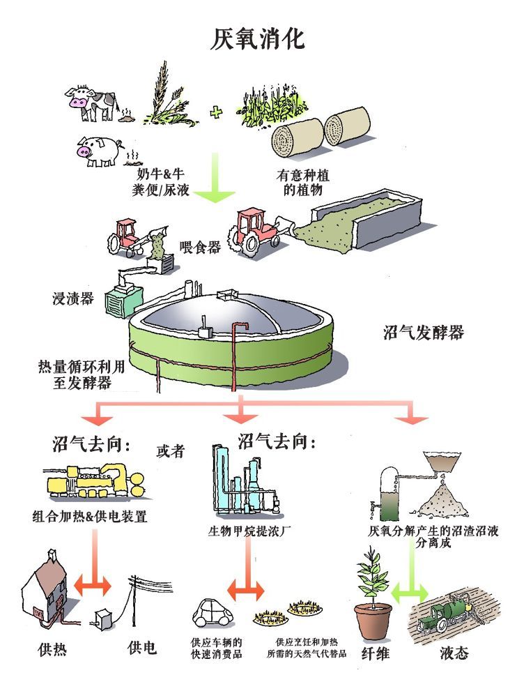 厭氧發(fā)酵罐沼氣凈化.jpeg