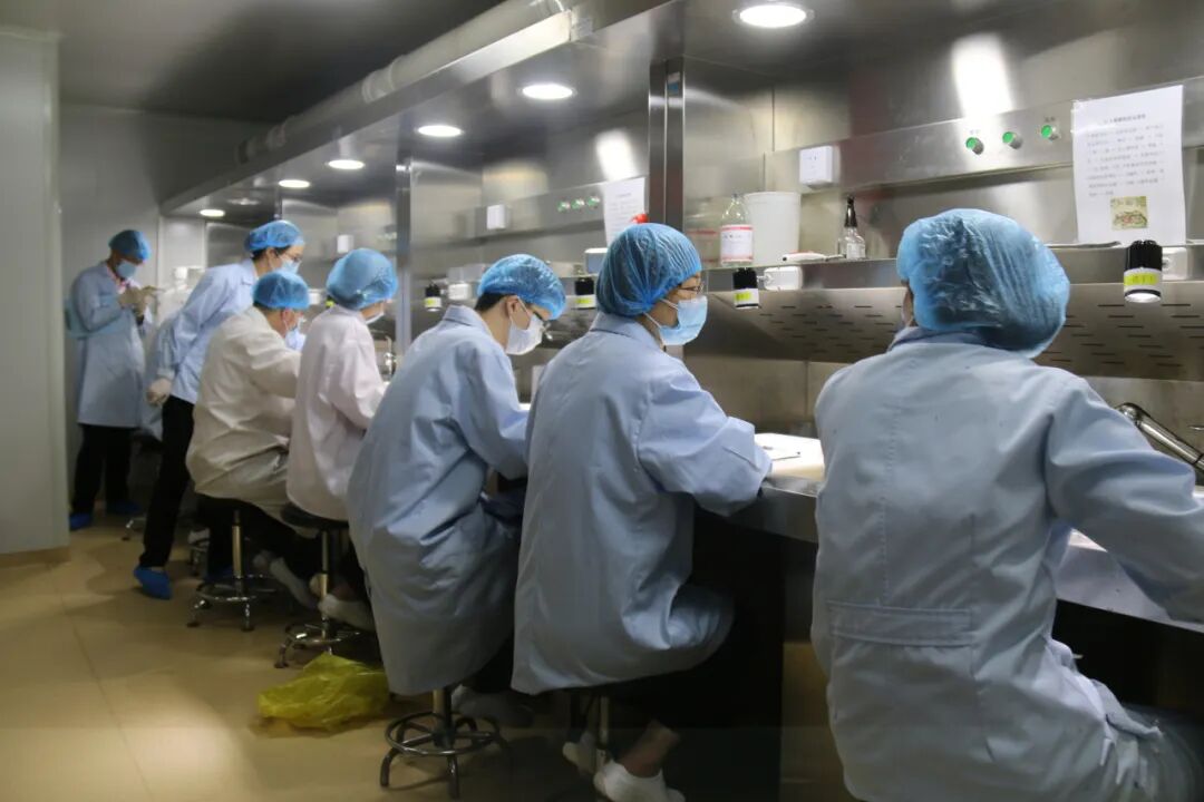 喜讯 | 中药材两项目测量审核均获“满意