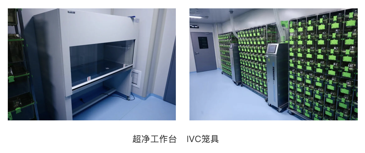国联质检电线电缆大鼠啃咬试验直击