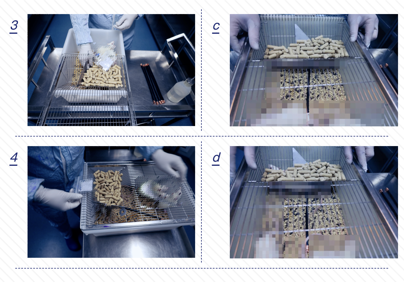 国联质检电线电缆大鼠啃咬试验直击