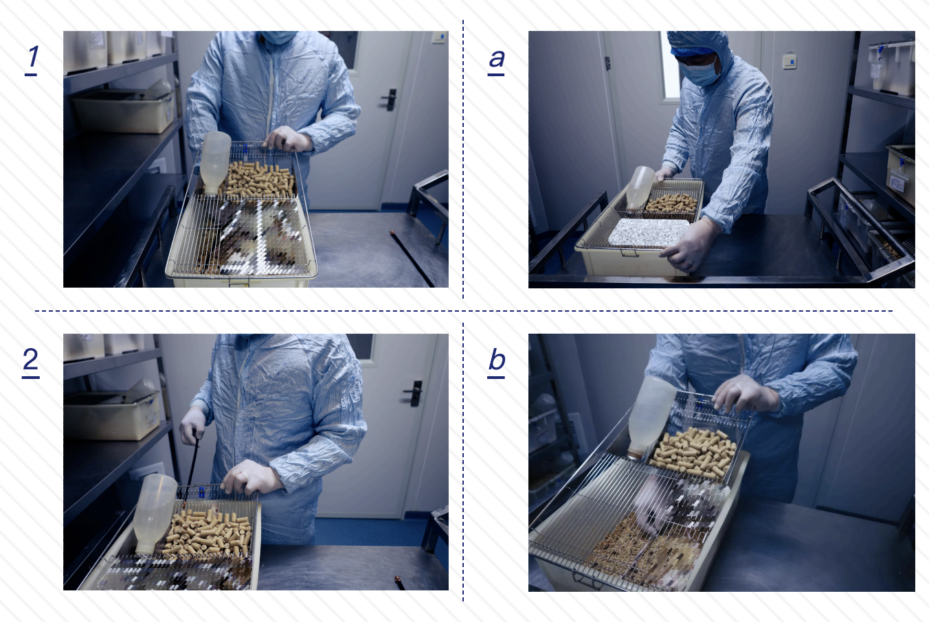 国联质检电线电缆大鼠啃咬试验直击