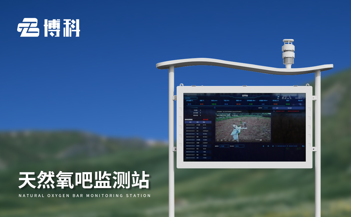 景区空气质量检测仪 景区空气质量检测仪