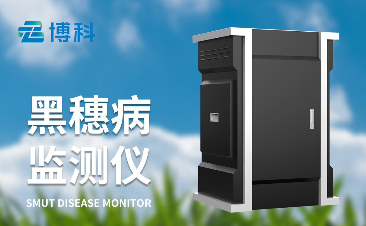 玉米丝黑穗病监测仪