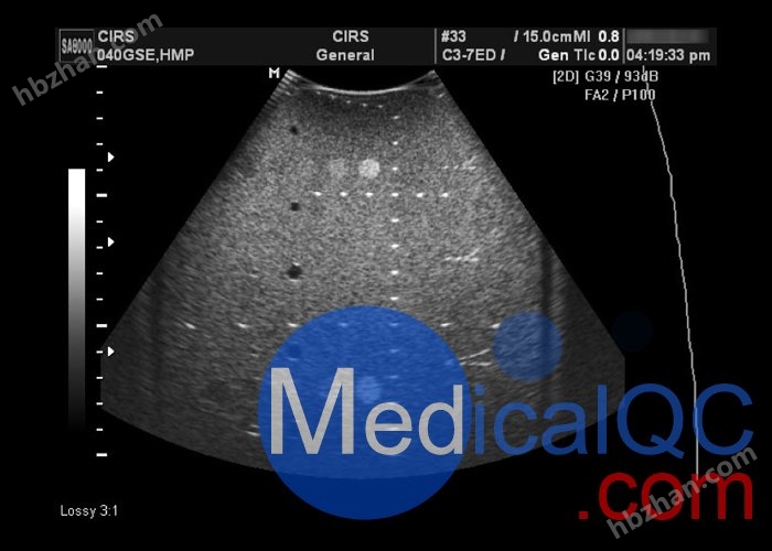 CIRS 040GSE超声模体
