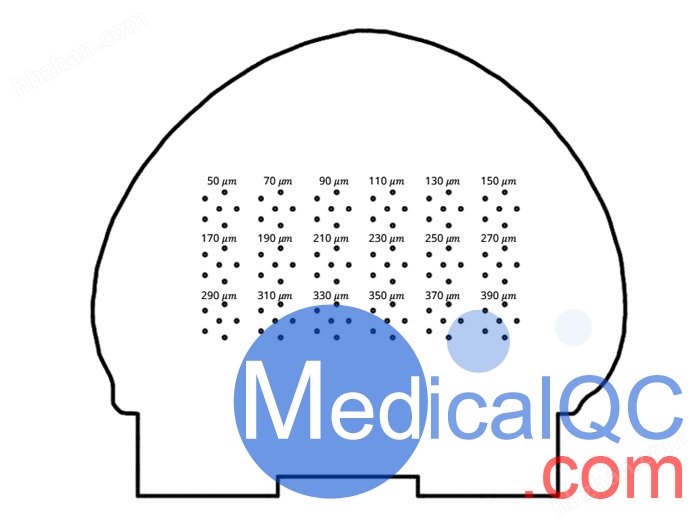 WEK59-01乳房模型