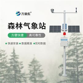 WX-SL10森林气象站